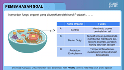Pembahasan