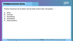 Pembahasan