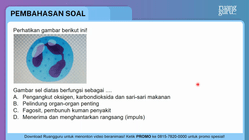 Pembahasan